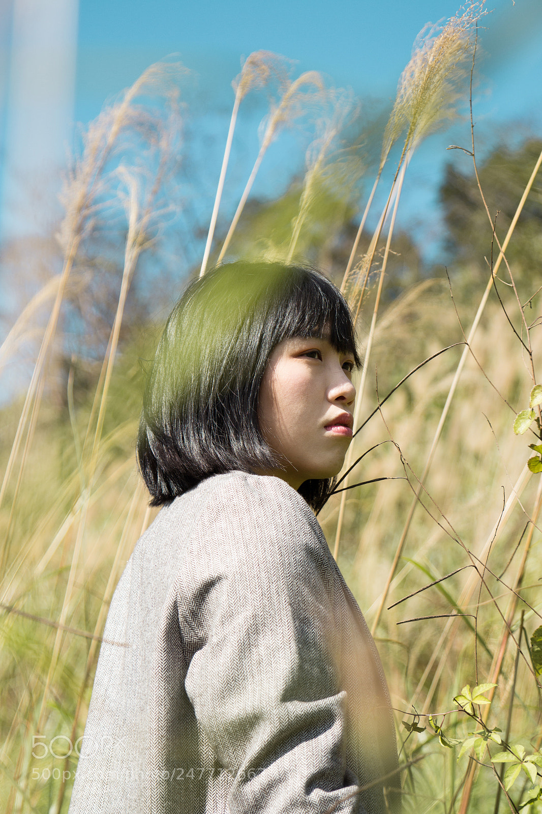 Canon EOS 700D (EOS Rebel T5i / EOS Kiss X7i) sample photo. Girl in field photography
