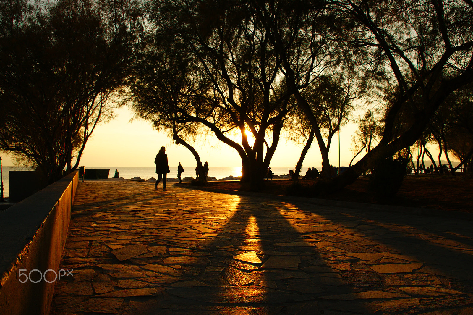 Sony DT 18-200mm F3.5-6.3 sample photo. Let it shine a little bit more ! photography