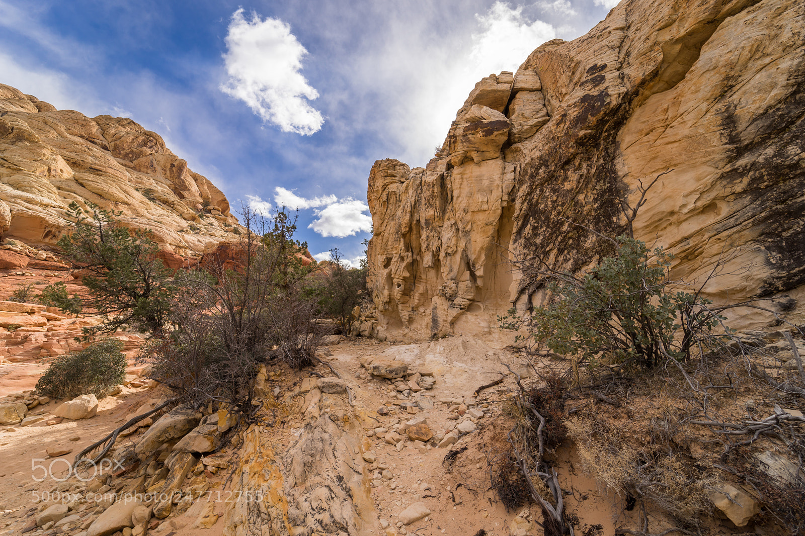 Sony a7 sample photo. Calico tanks trail photography