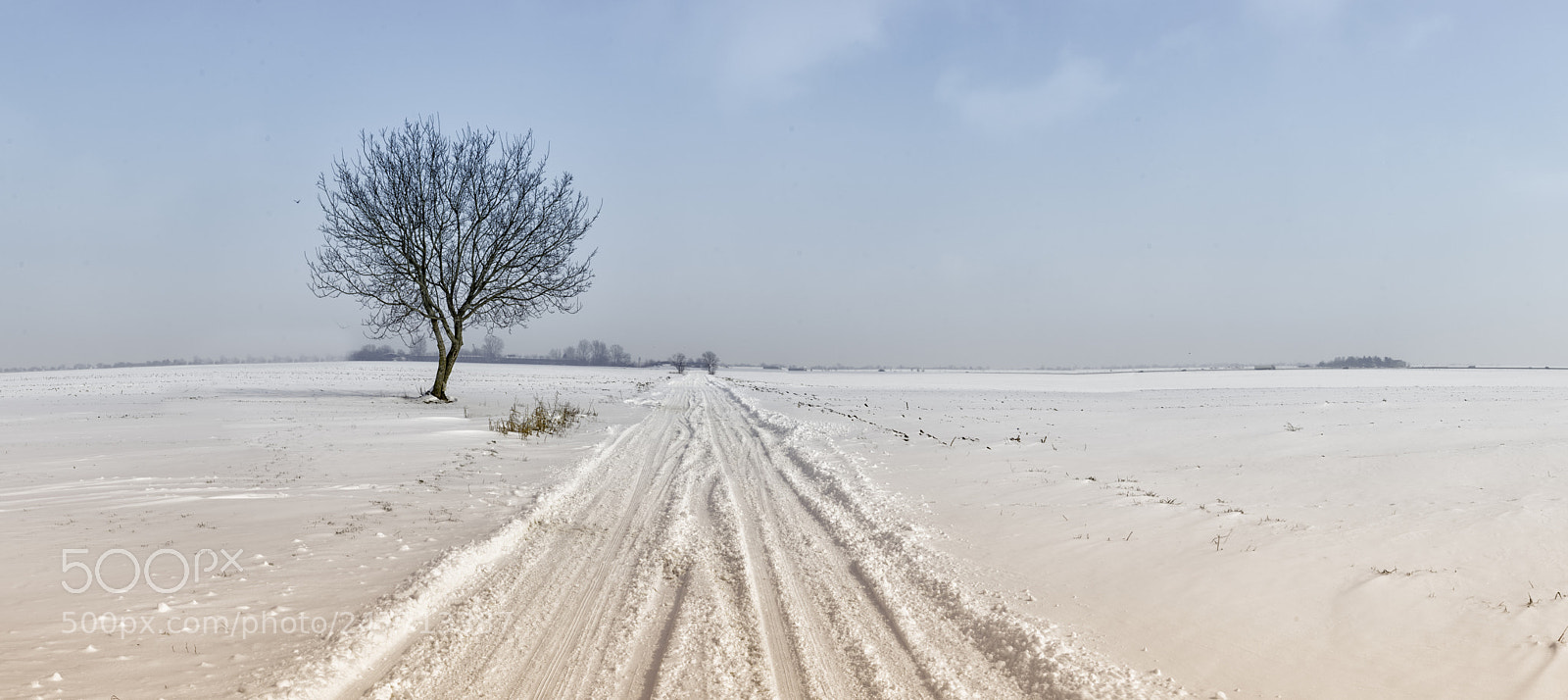 Nikon D3300 sample photo. Snowy road photography