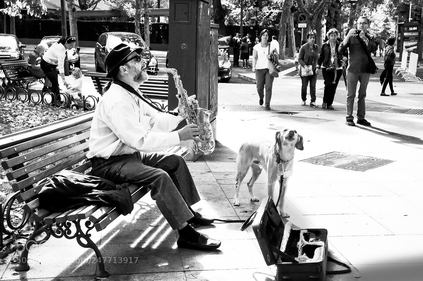 Nikon D300 sample photo. Street musician performing music photography