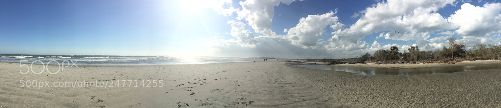 Apple iPhone 6 sample photo. Untitled photography