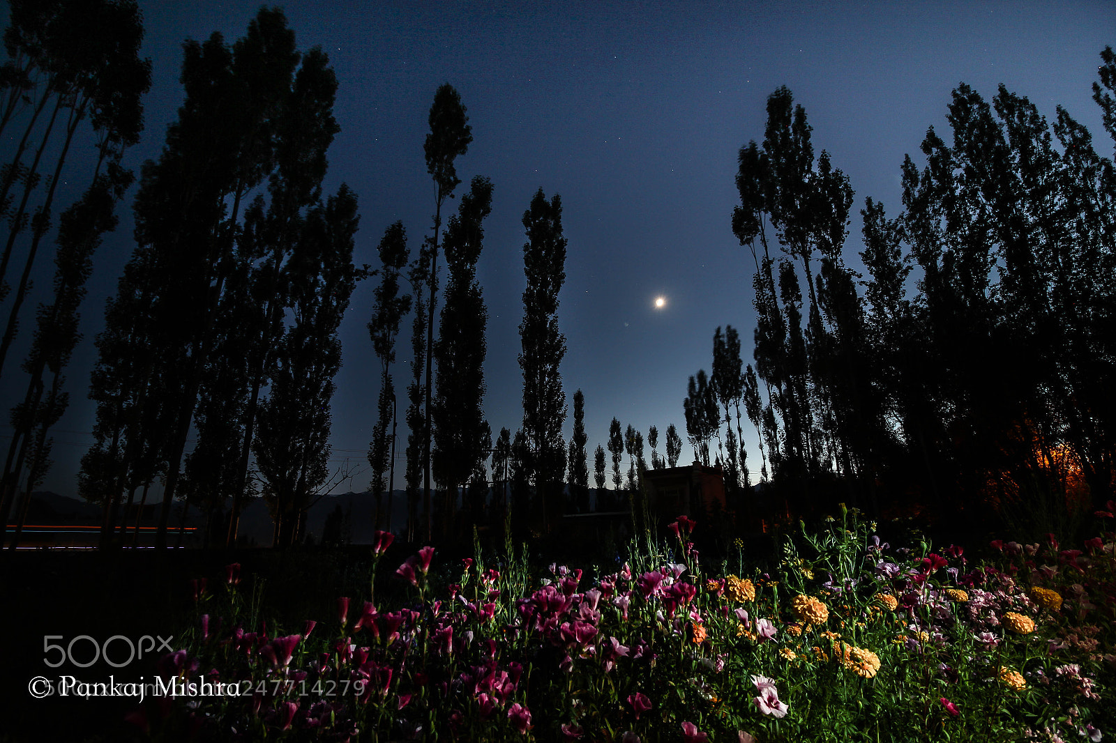 Canon EOS 600D (Rebel EOS T3i / EOS Kiss X5) sample photo. Nightscape photography