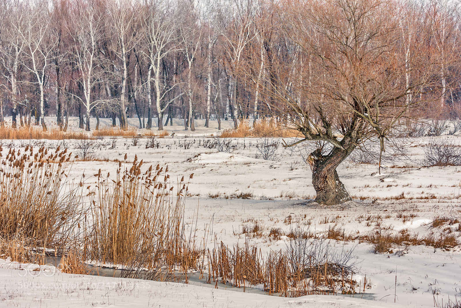 Nikon D7200 sample photo. Winter over lake bacau photography