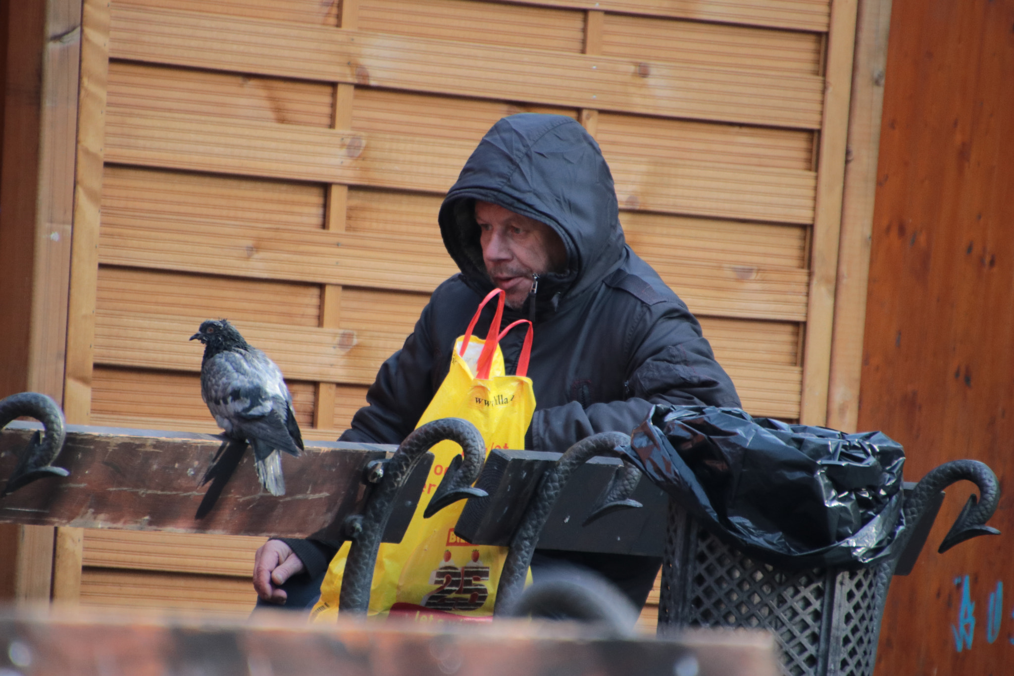 Canon EF 300mm F2.8L IS II USM sample photo. Prague / praha 2018 photography