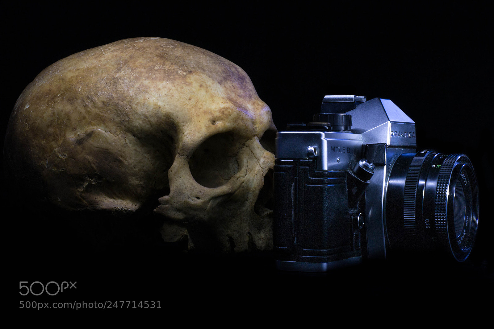 Nikon D3100 sample photo. Dead photographer photography