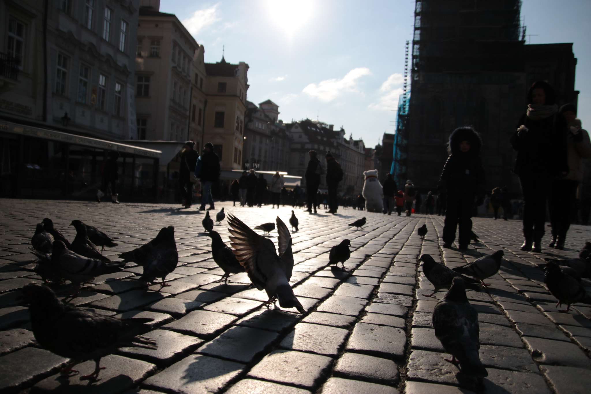 Canon EF 300mm F2.8L IS II USM sample photo. Prague / praha 2018 photography