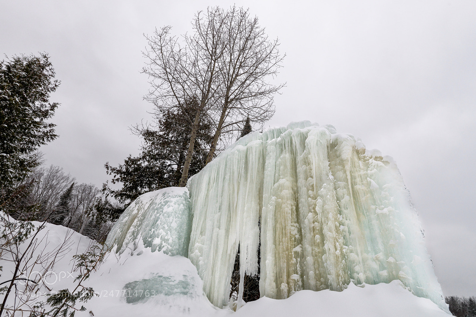 Nikon D610 sample photo. Laurentides 02/2018 photography