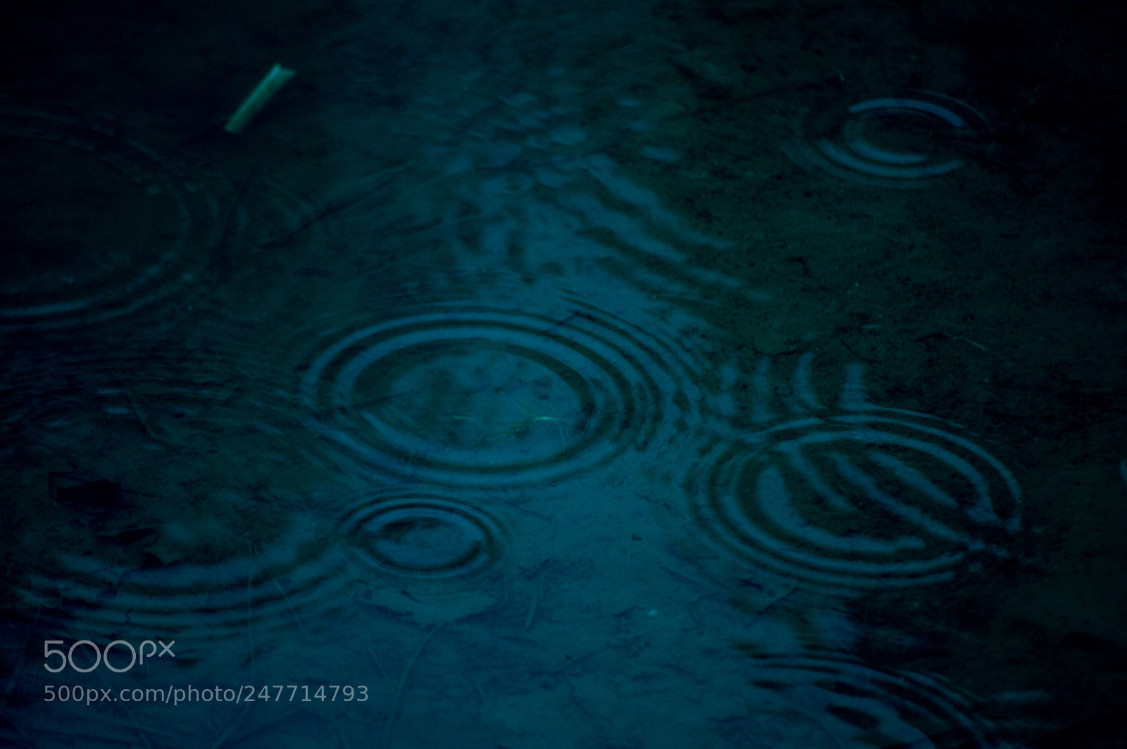 Nikon D3200 sample photo. Meddle photography