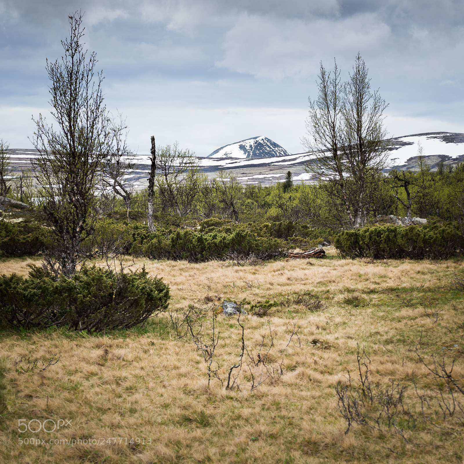 Nikon D610 sample photo. Lone peak photography