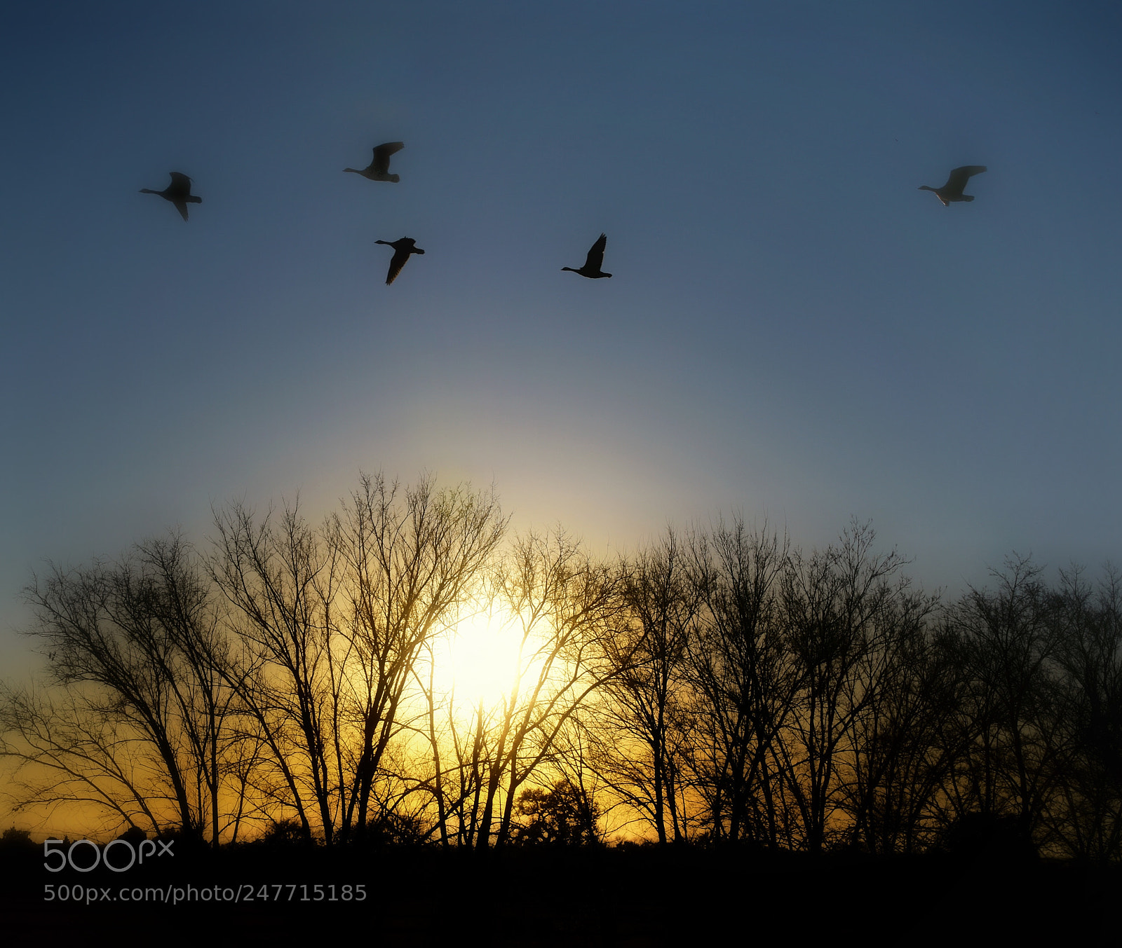 Nikon D810 sample photo. Flyover dawn photography