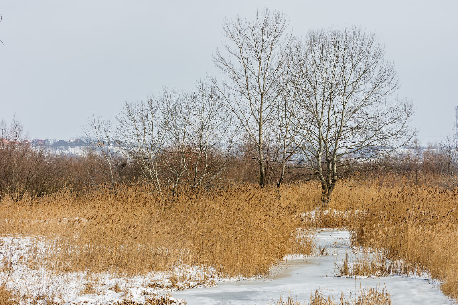 Nikon D7200 sample photo. Winter ove lake bacau photography
