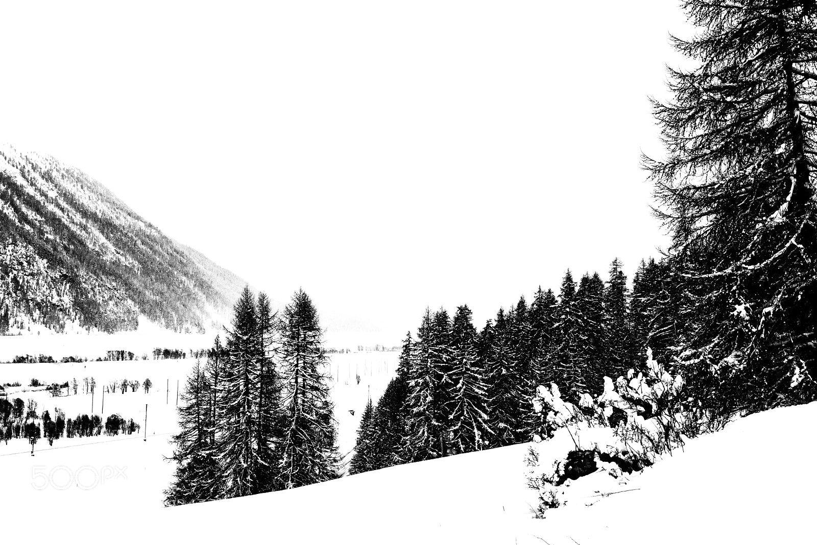 Nikon D800E sample photo. Graubunden in black & white photography