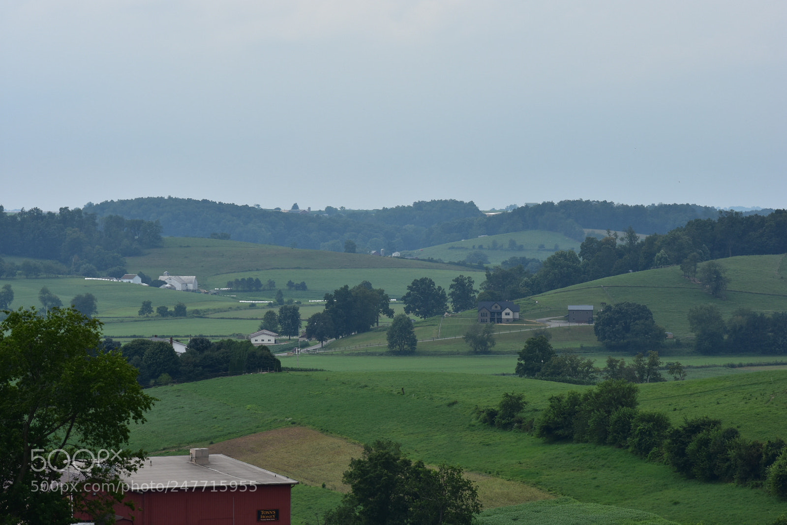 Nikon D3400 sample photo. Holmes county ohio photography