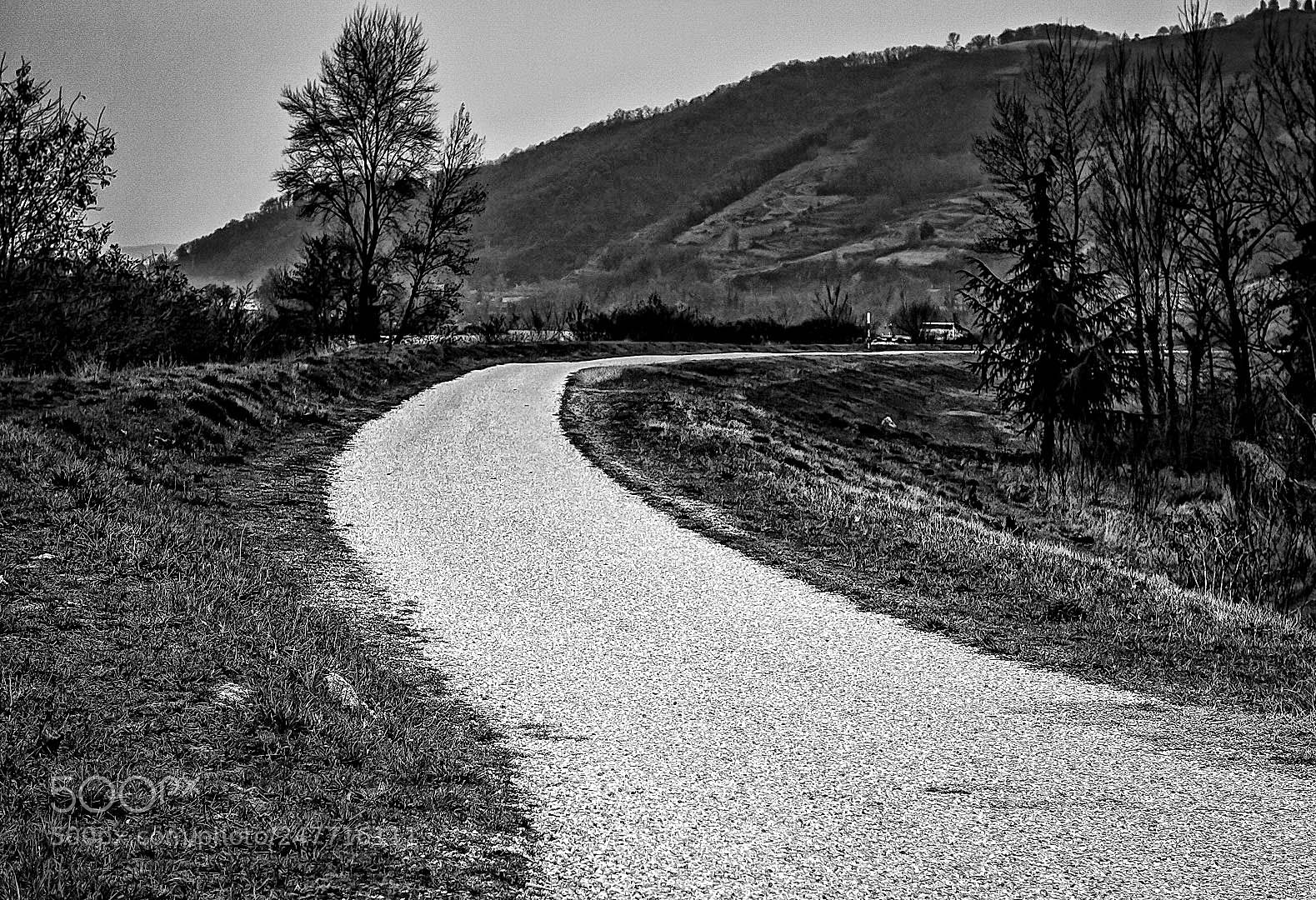 Sony Cyber-shot DSC-RX100 II sample photo. Country path photography