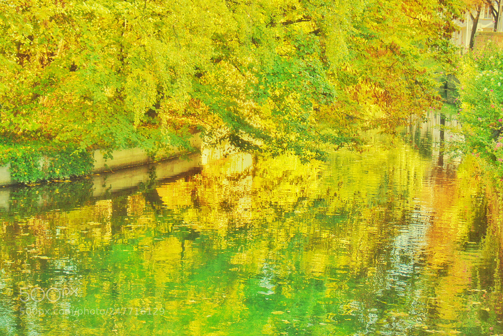 Nikon D7100 sample photo. Like monet. la lauch photography