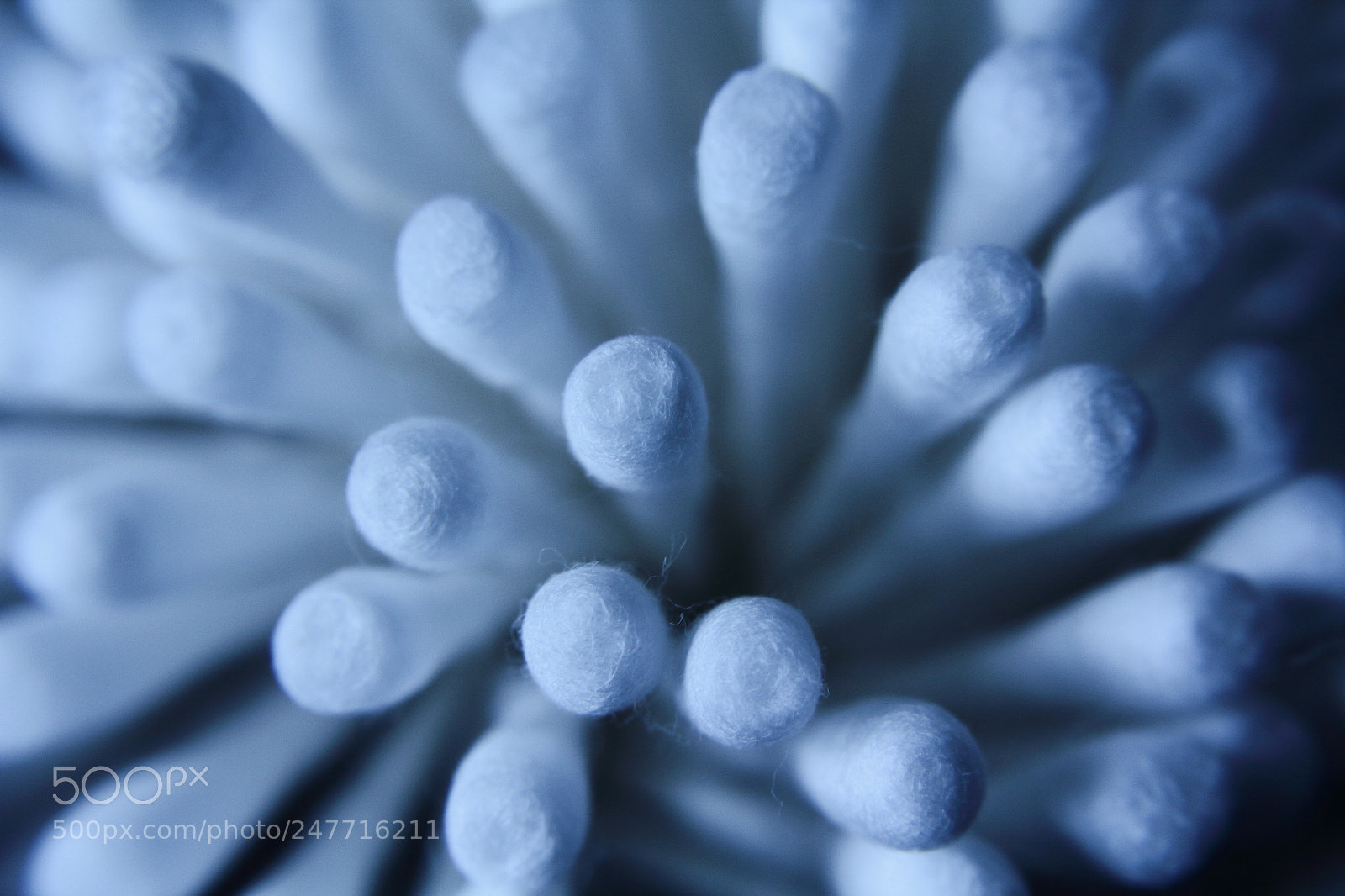 Canon EF-S 18-55mm F3.5-5.6 IS sample photo. Cotton buds photography