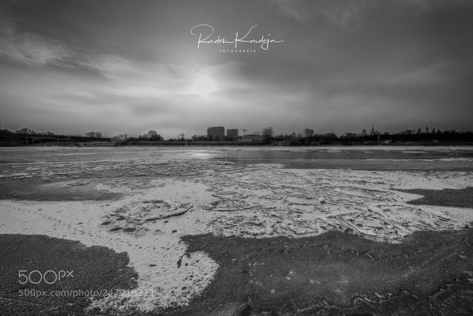 Nikon D810 sample photo. Frozen vistula photography