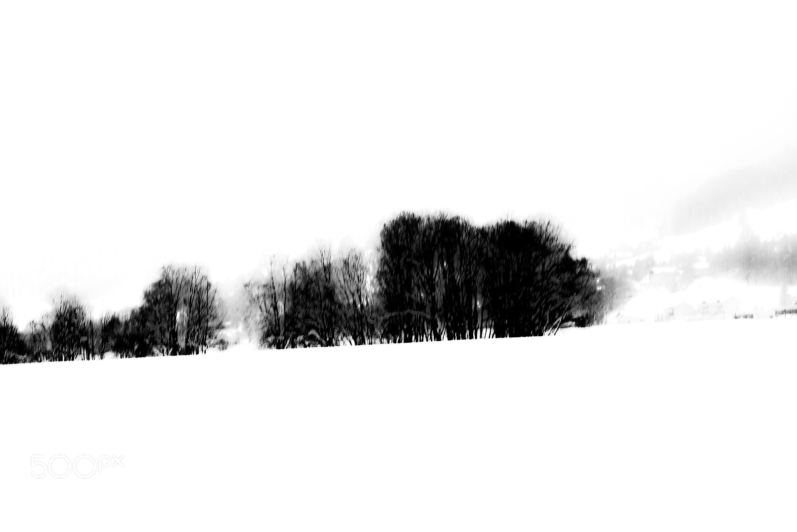 Nikon D800E sample photo. Graubunden in black & white photography