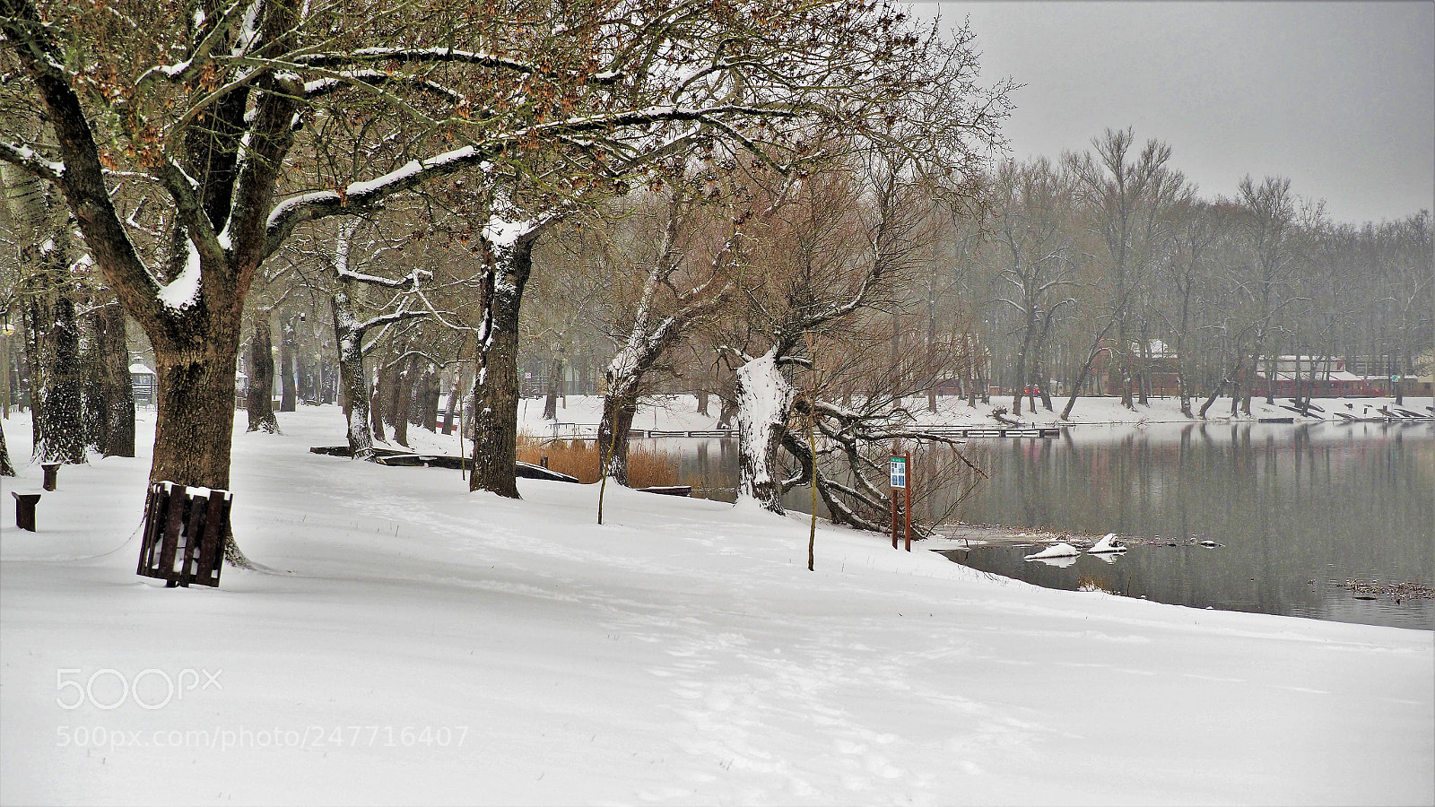 Olympus OM-D E-M1 Mark II sample photo. The last snow photography