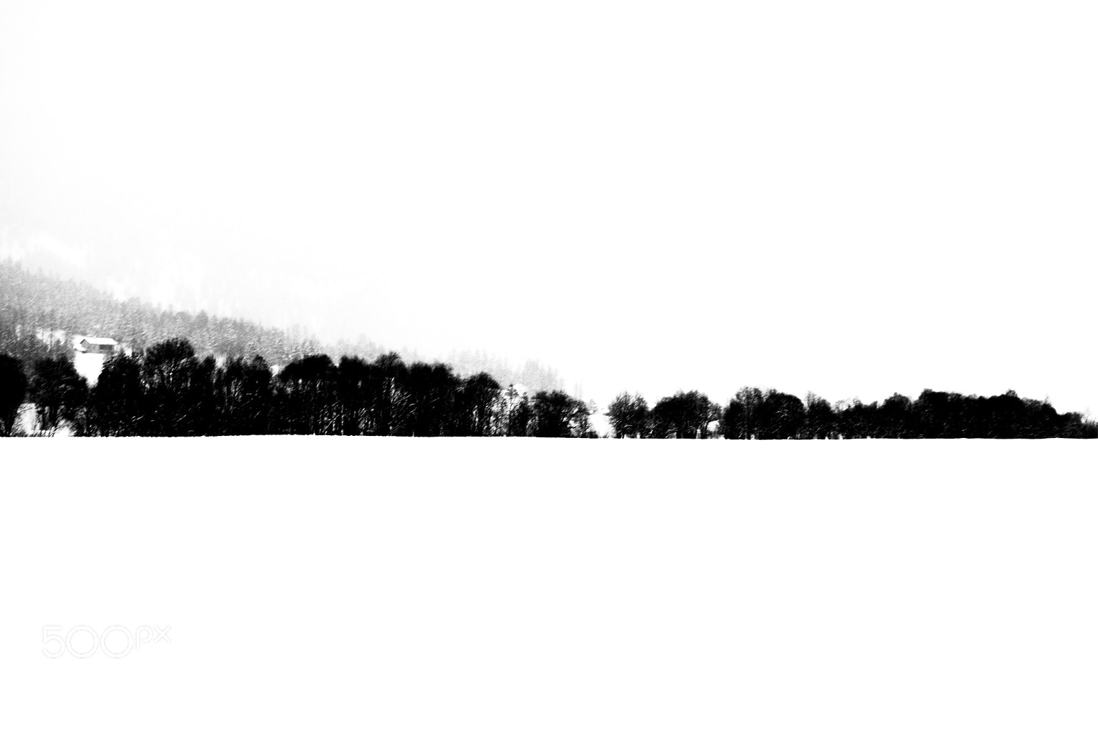 Nikon D800E sample photo. Graubunden in black & white photography