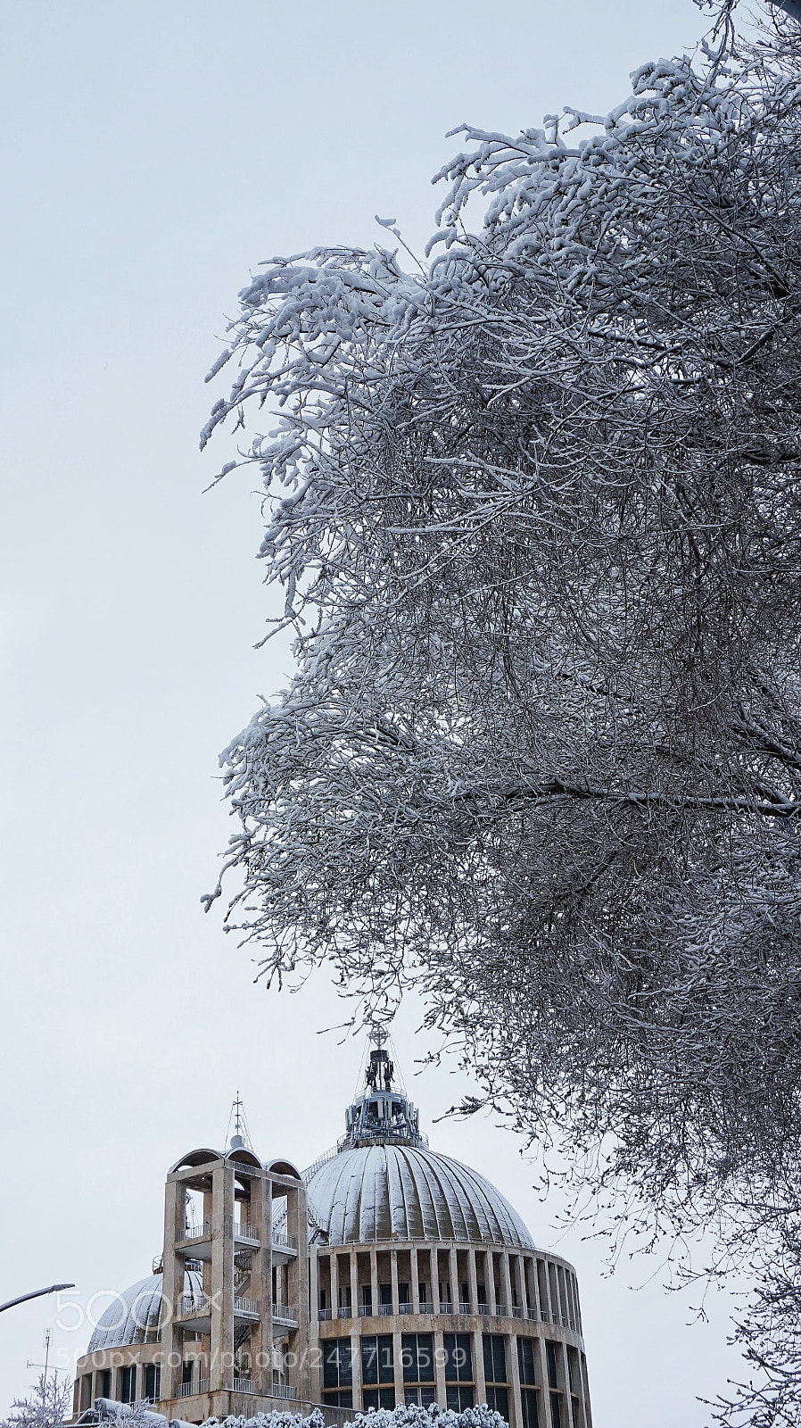 Sony Alpha a5000 (ILCE 5000) sample photo. White photography