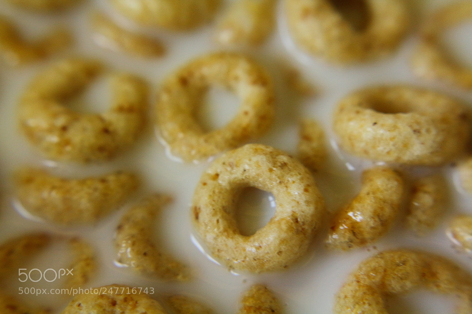 Canon EF-S 18-55mm F3.5-5.6 IS sample photo. Cheerios photography
