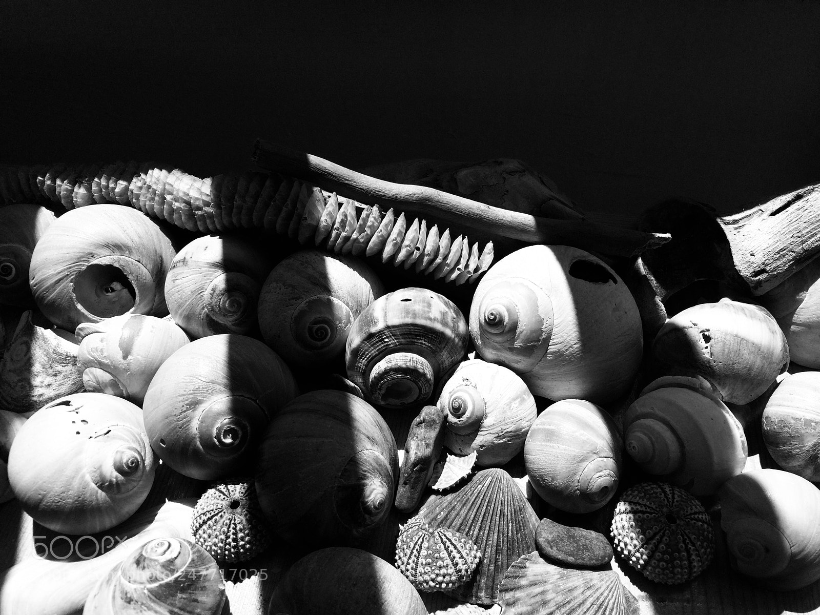 Apple iPhone 5s sample photo. Shell game photography