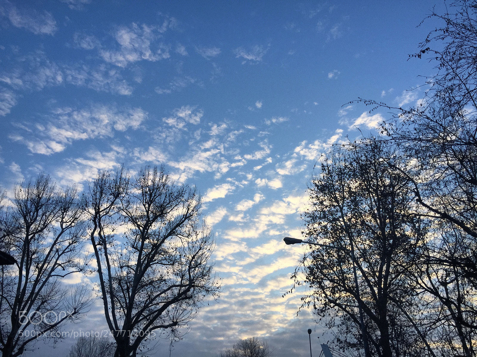 Apple iPhone 6 sample photo. Blue sky photography