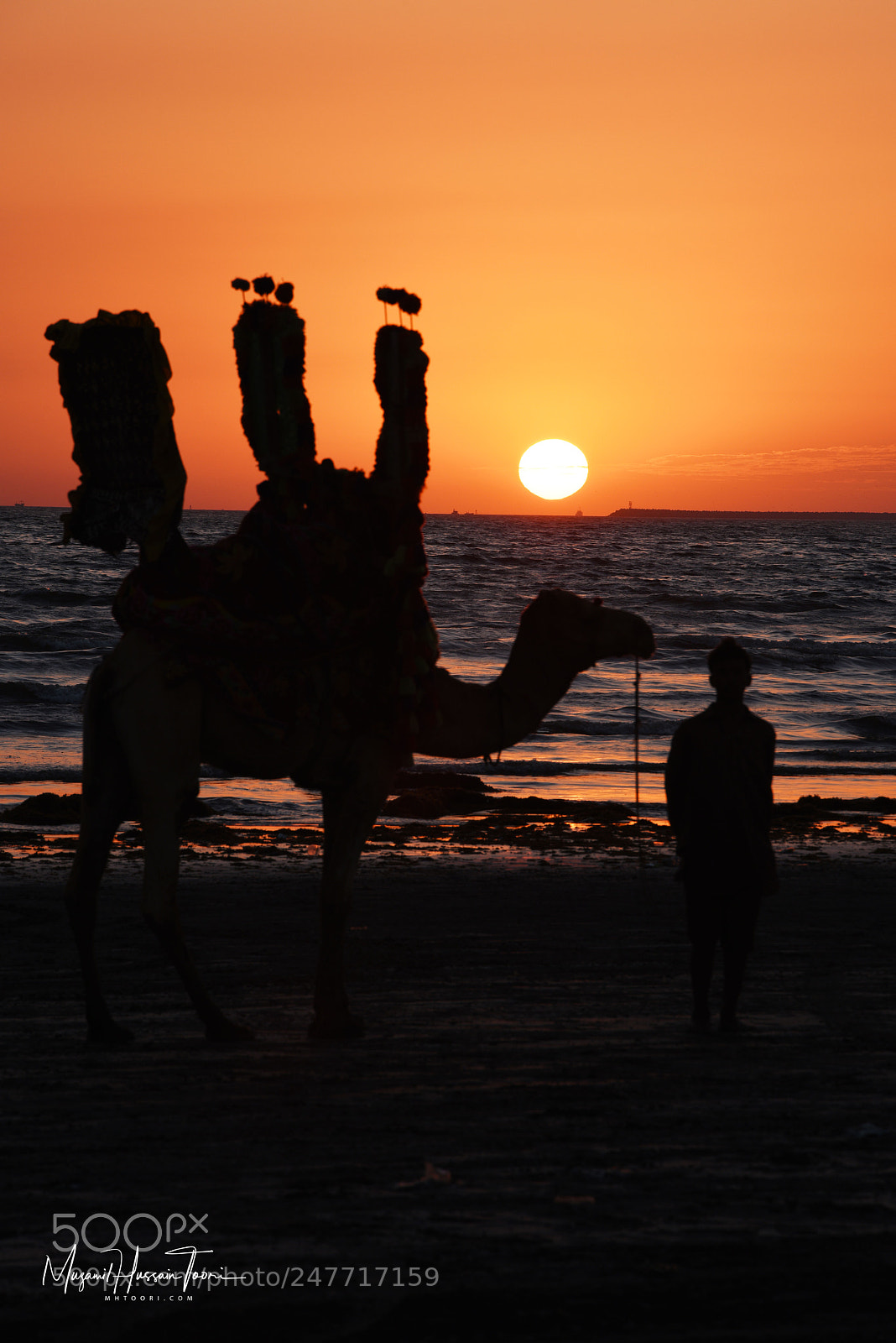 Nikon D810 sample photo. Sunset photography
