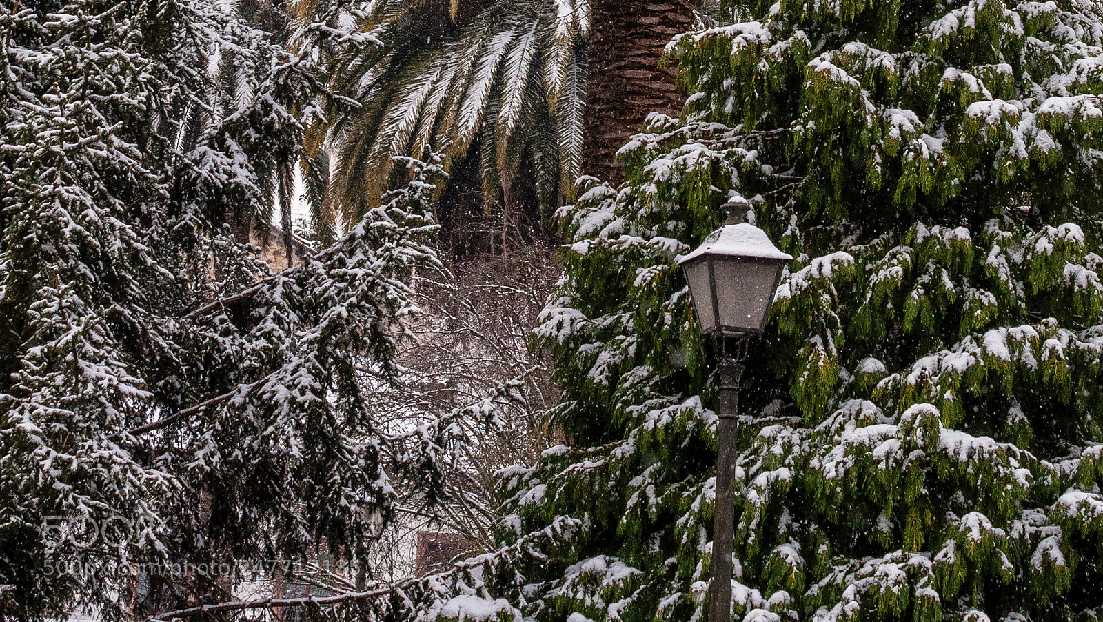 Nikon D90 sample photo. Snow in the park photography