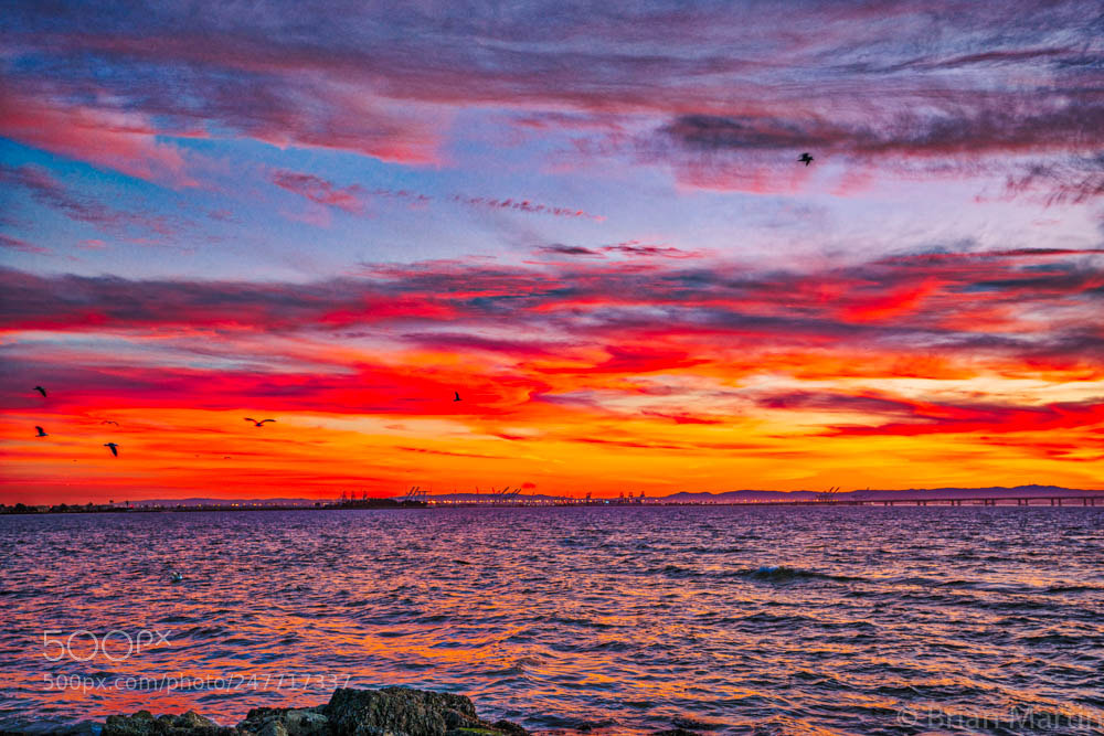 Sony a7R II sample photo. Sunset over the bay photography
