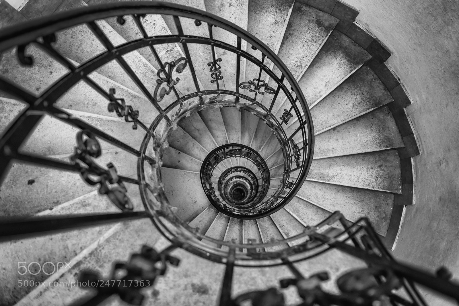 Nikon D800 sample photo. Spiral stair photography