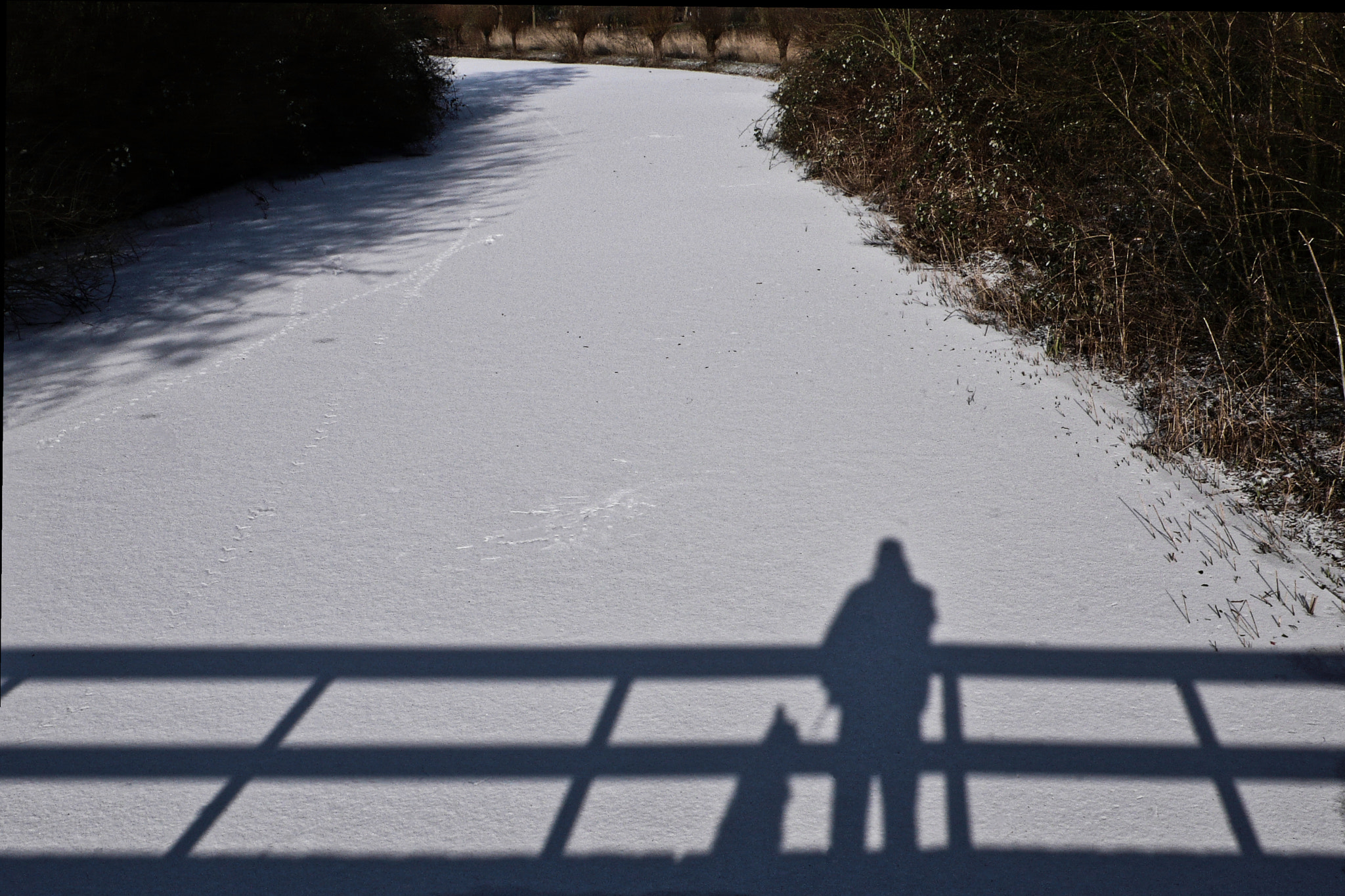 Leica D-LUX 3 sample photo. Selfportrait with dog on bridge photography