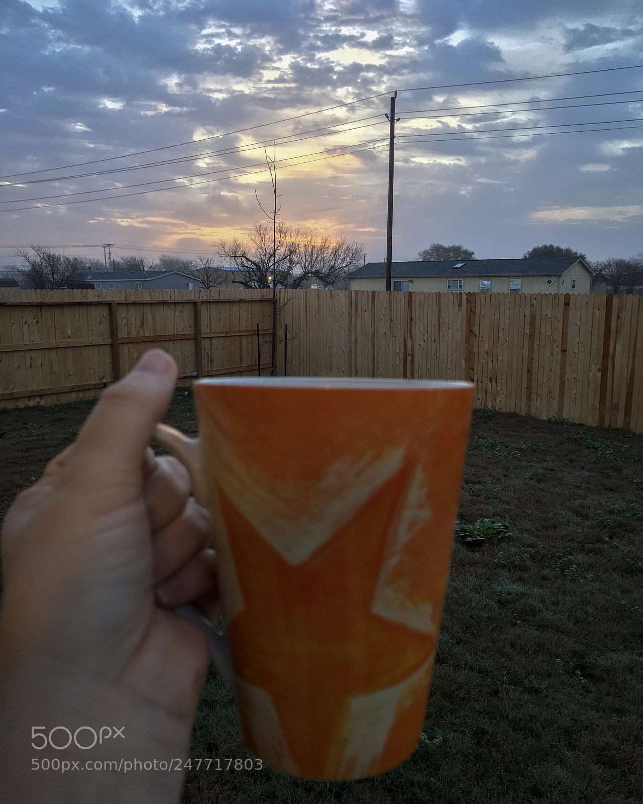 Apple iPhone 6s sample photo. Good morning photography