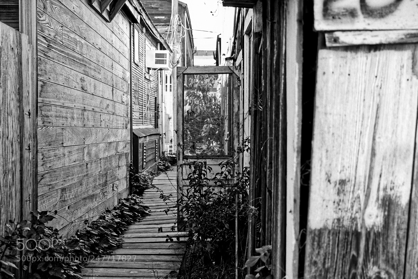 Fujifilm X-Pro2 sample photo. Locke 78 photography