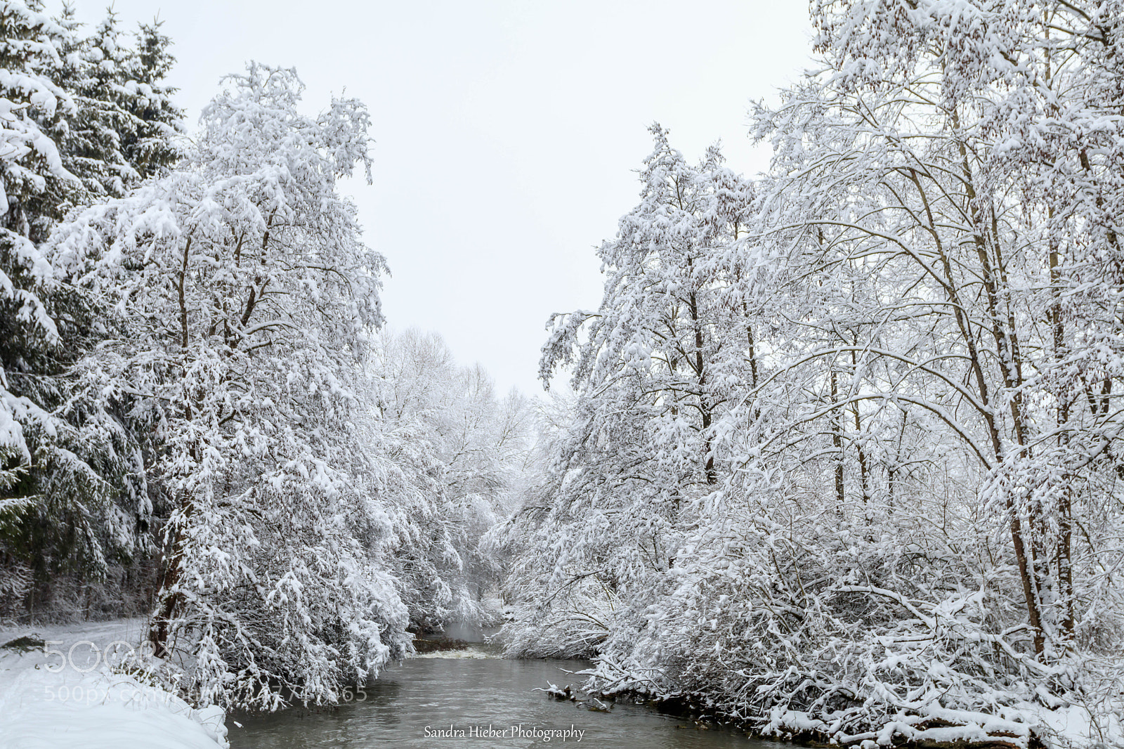 Canon EOS 80D sample photo. Snowy photography