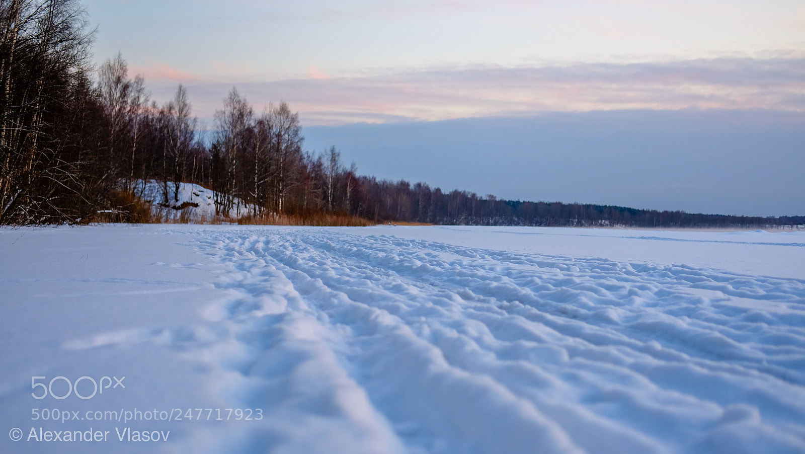 Fujifilm X-T10 sample photo. No name shoot photography