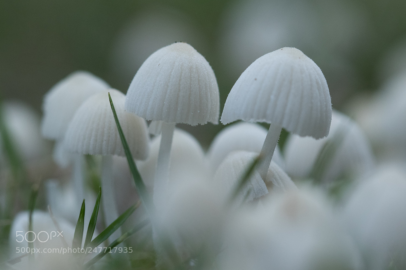 Canon EOS 7D Mark II sample photo. Just be love photography