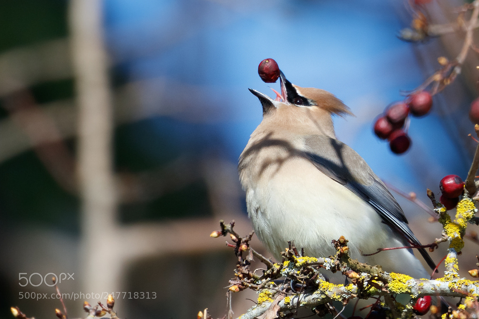 Canon EOS 5DS R sample photo. Timing photography