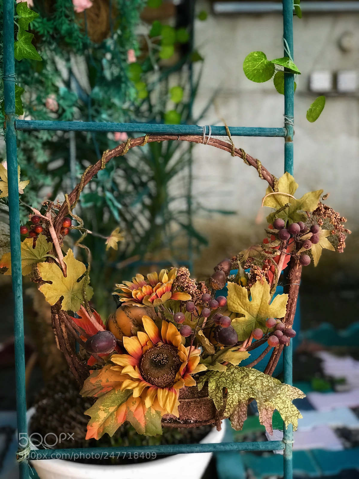 Apple iPhone 7 Plus sample photo. Portrait mode 4k iphone photography