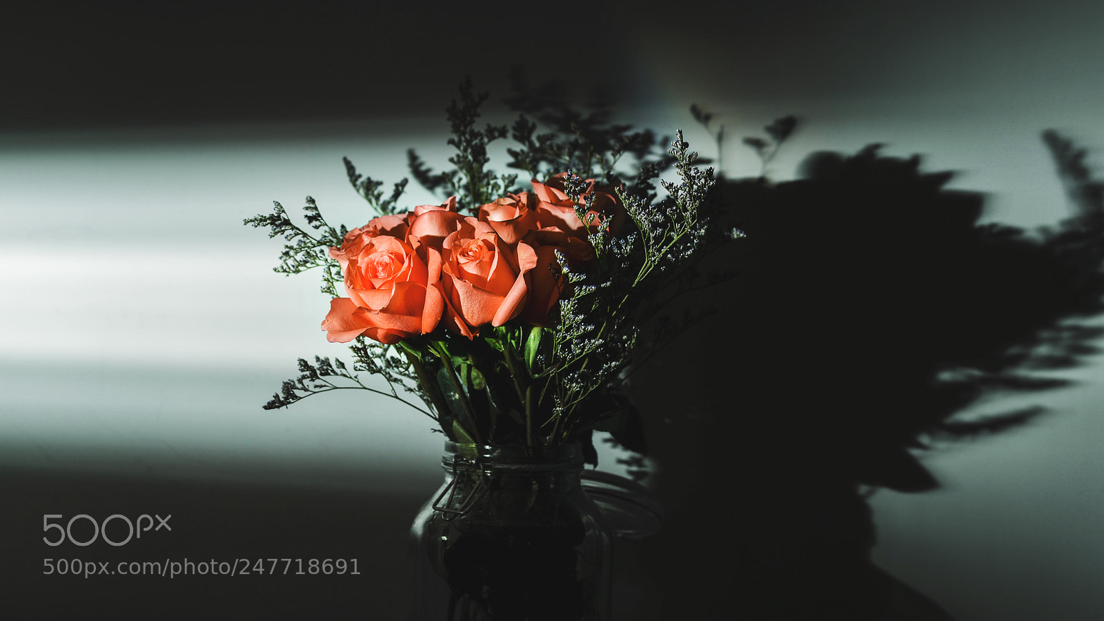 Nikon D610 sample photo. 85/1.8g photography