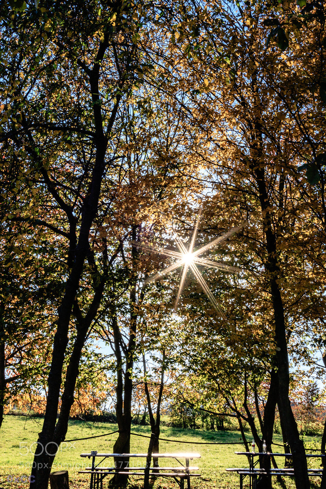Canon EOS 7D Mark II sample photo. Against the sun photography