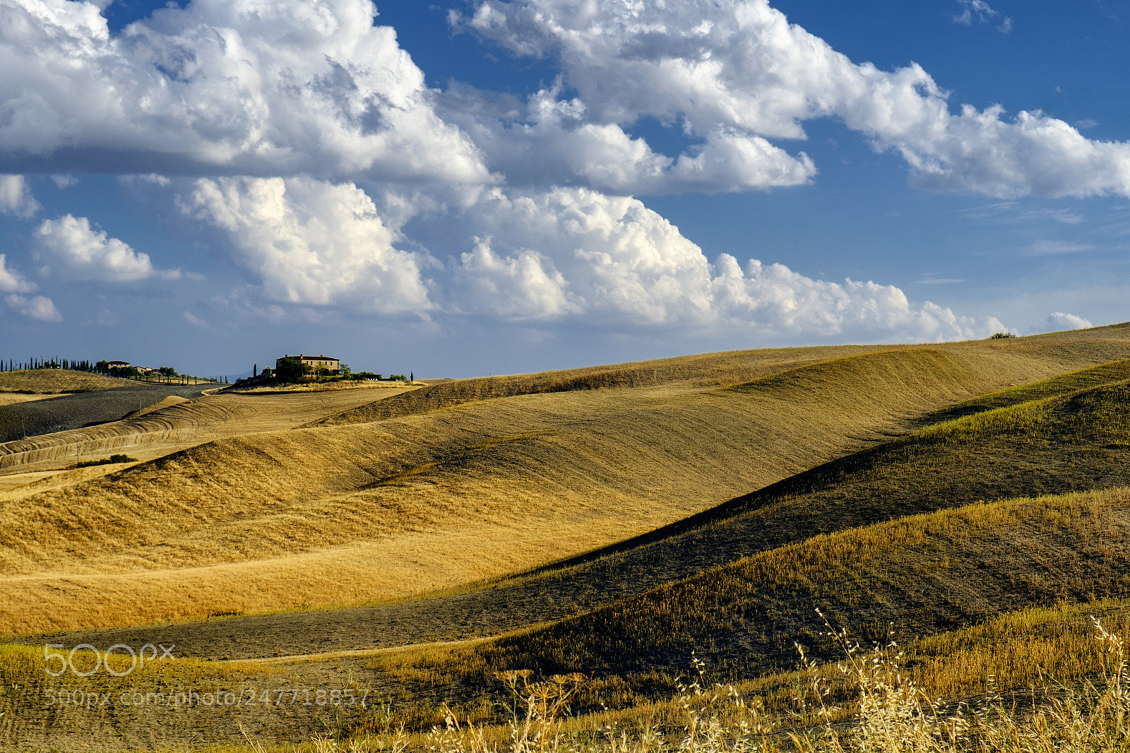 Fujifilm X-T2 sample photo. Summer landscape near asciano photography