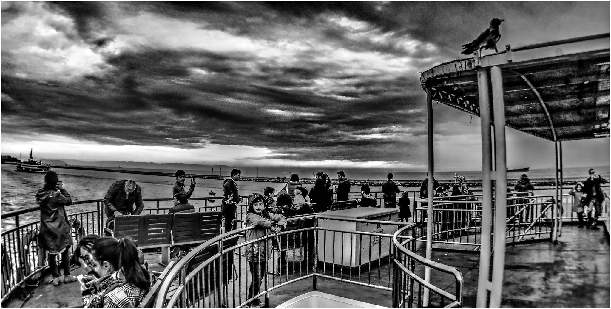 Olympus PEN E-PM2 sample photo. Crow in the ferry photography