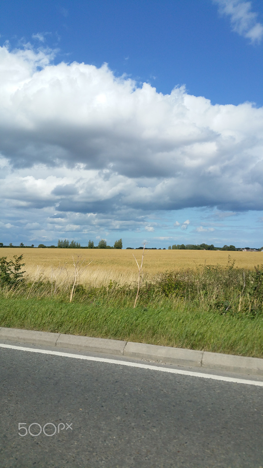 Samsung Galaxy S5 LTE-A sample photo. English countryside, photography