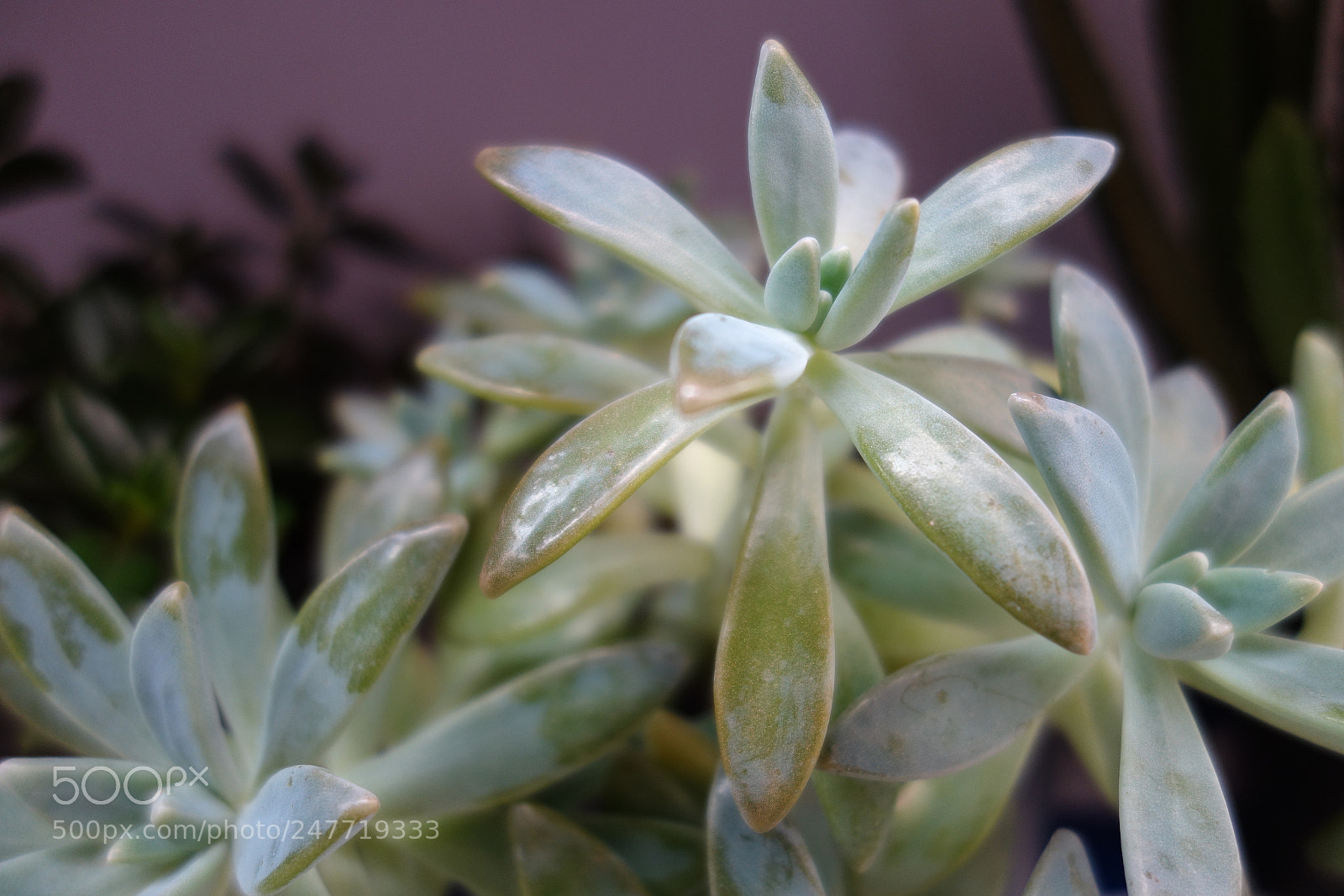 Sony Cyber-shot DSC-RX100 sample photo. Untitled photography