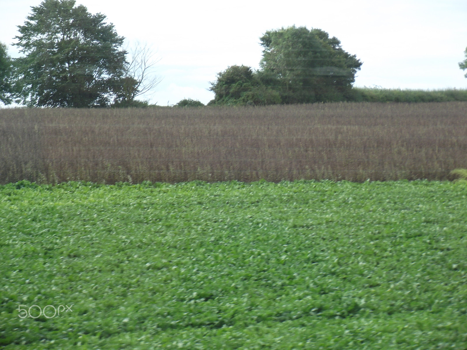 FujiFilm FinePix S2800HD (FinePix S2900HD) sample photo. English countryside, photography