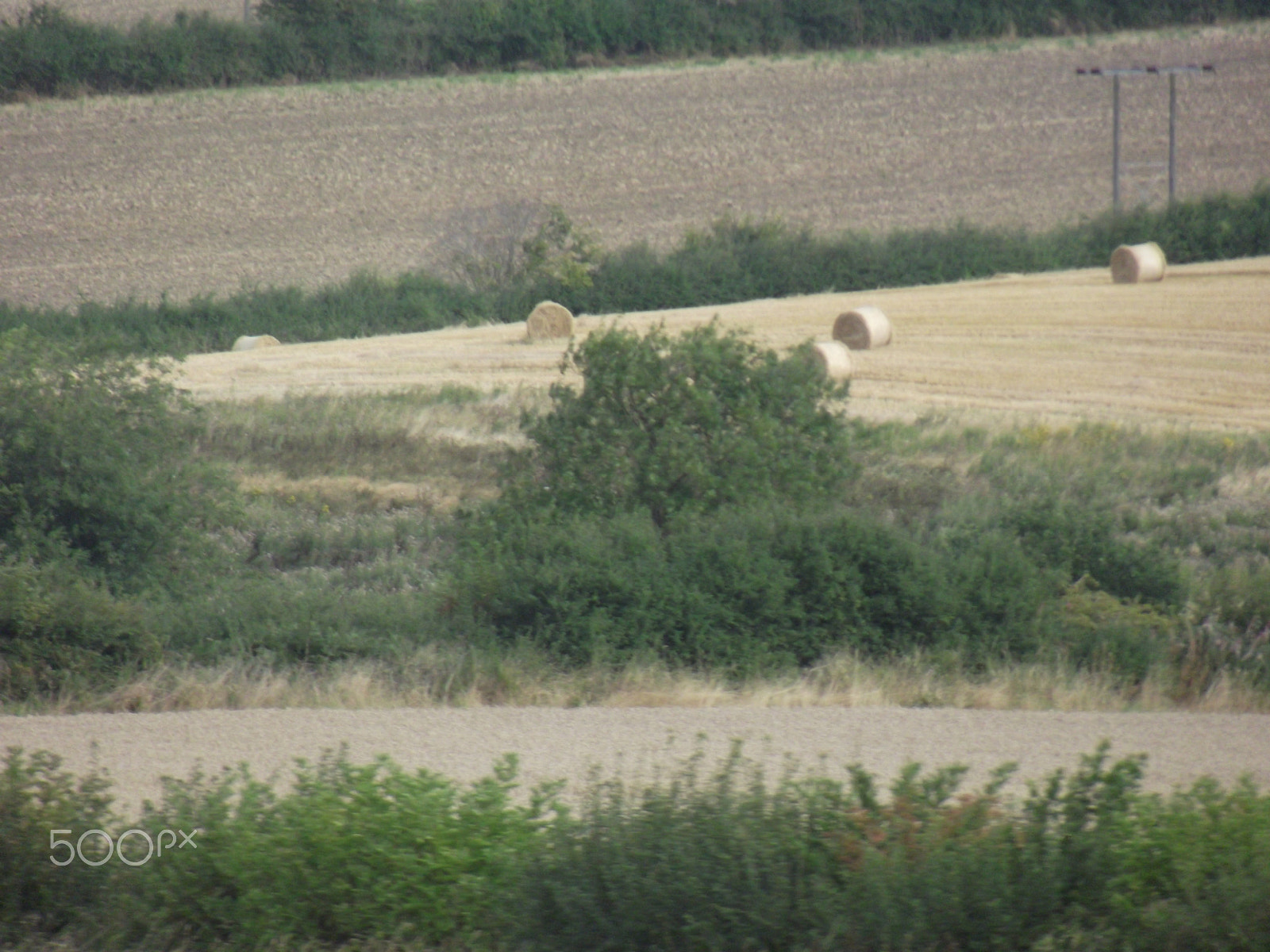 FujiFilm FinePix S2800HD (FinePix S2900HD) sample photo. English countryside, photography