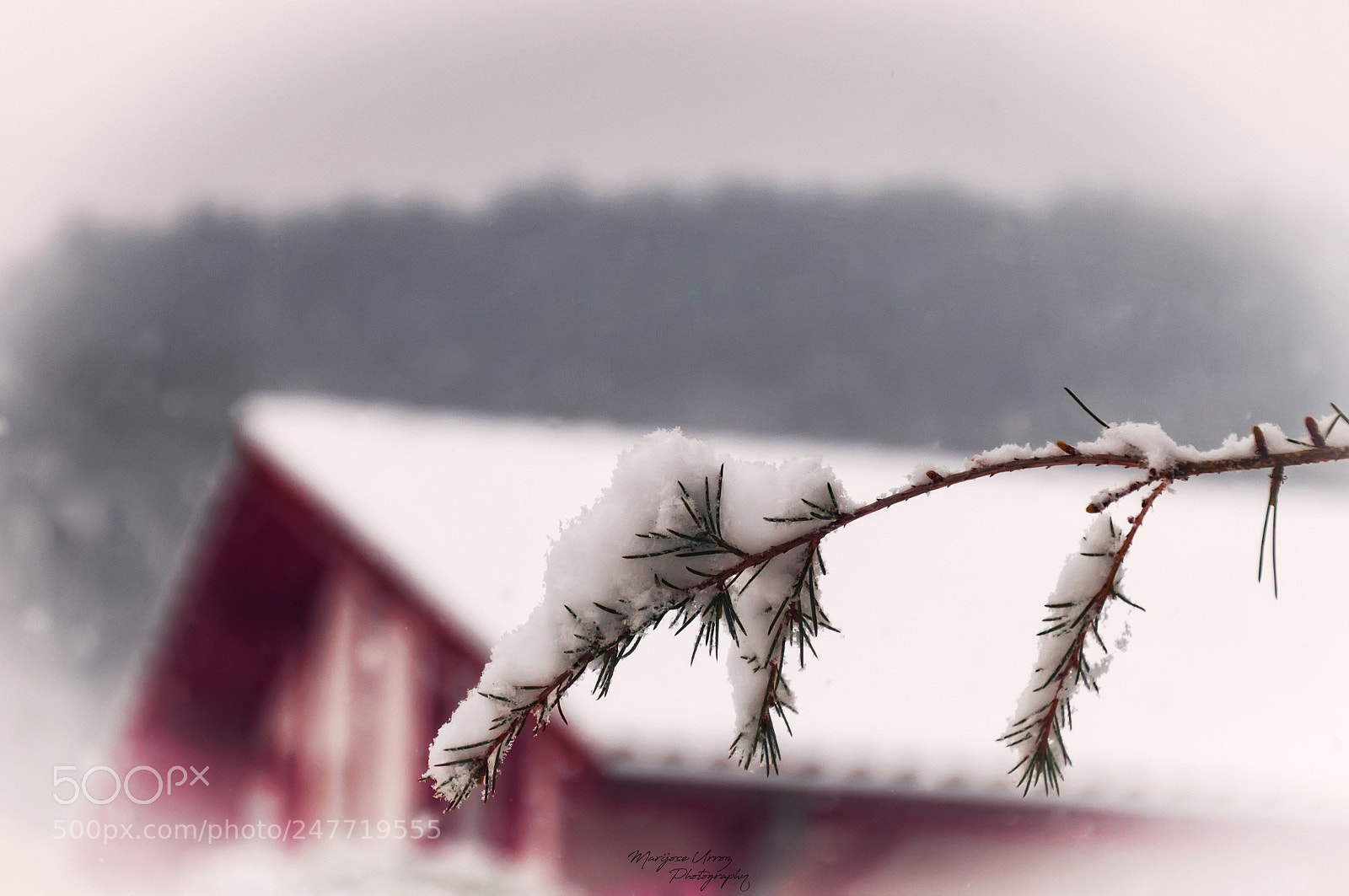 Nikon D300 sample photo. First snow photography